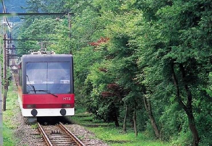 グリーンシーズンの箱根ケーブルカー