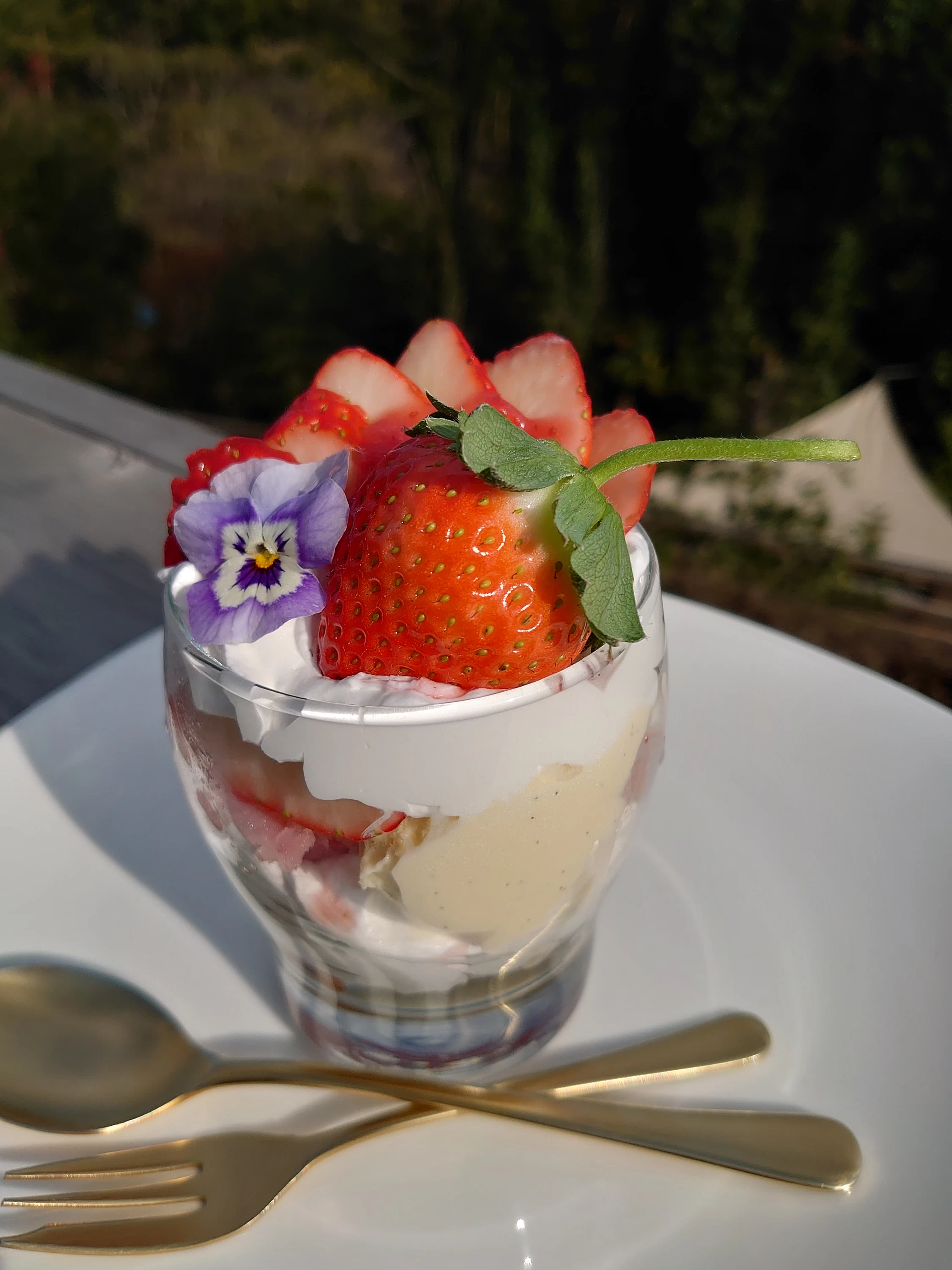 農園ガーデン空①