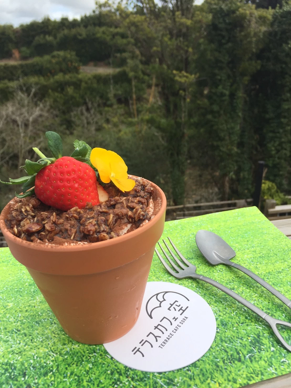 農園ガーデン空②