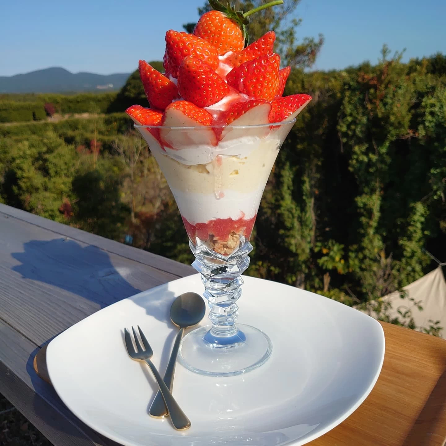 農園ガーデン空③