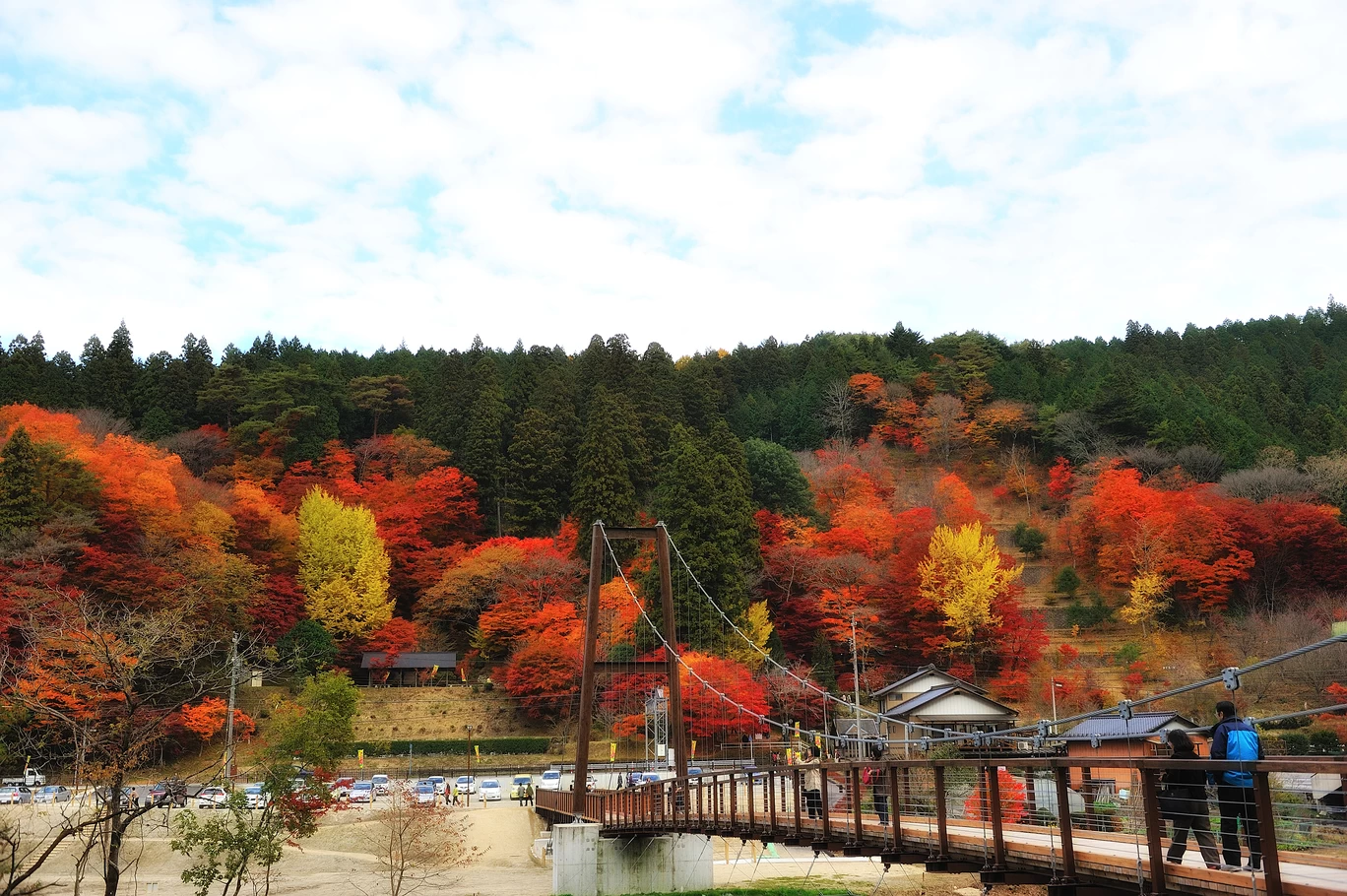 大井平公園①