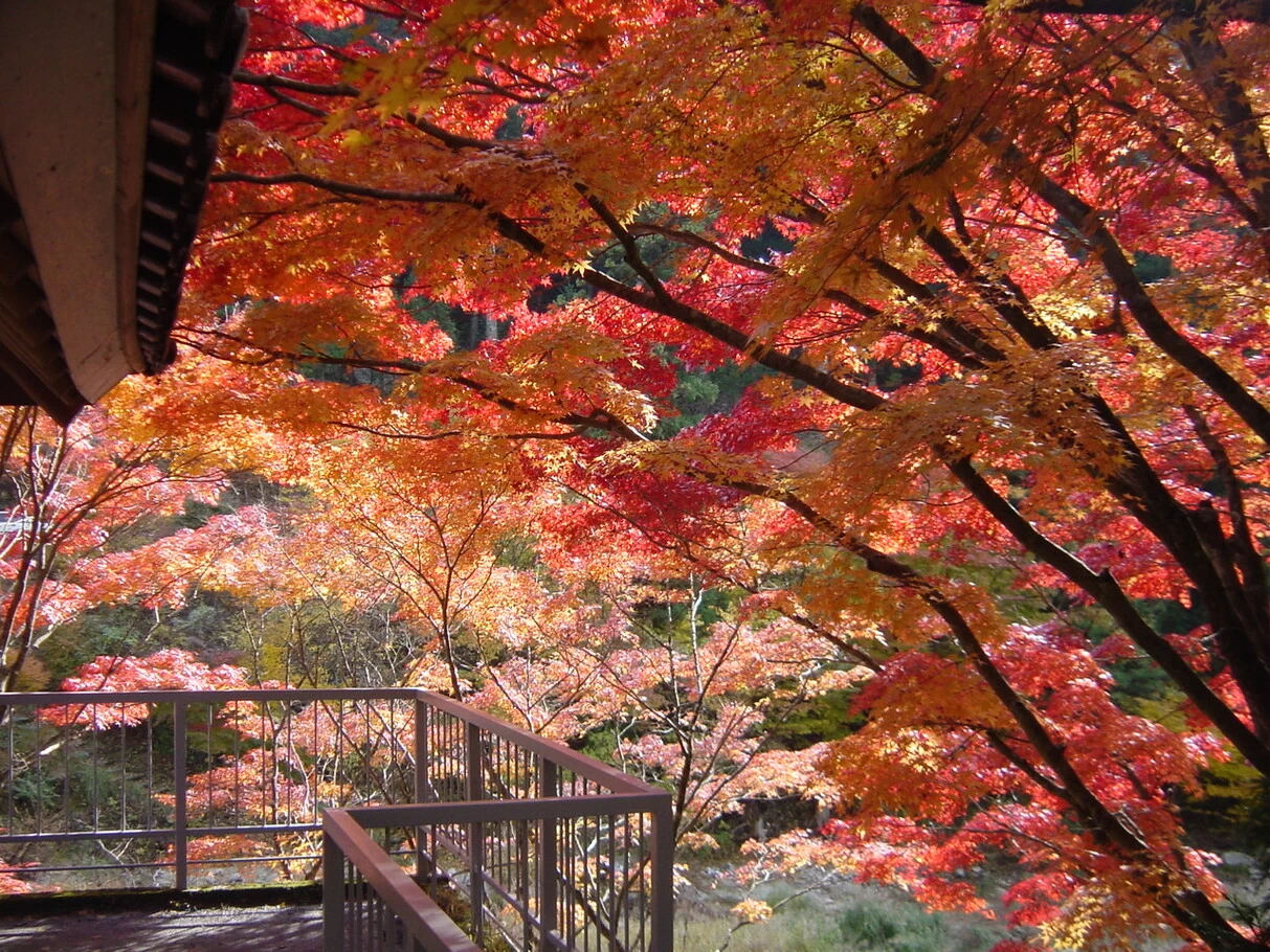 大井平公園③