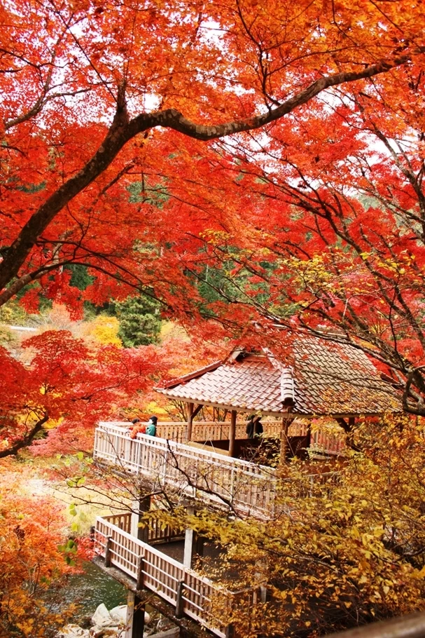 大井平公園④
