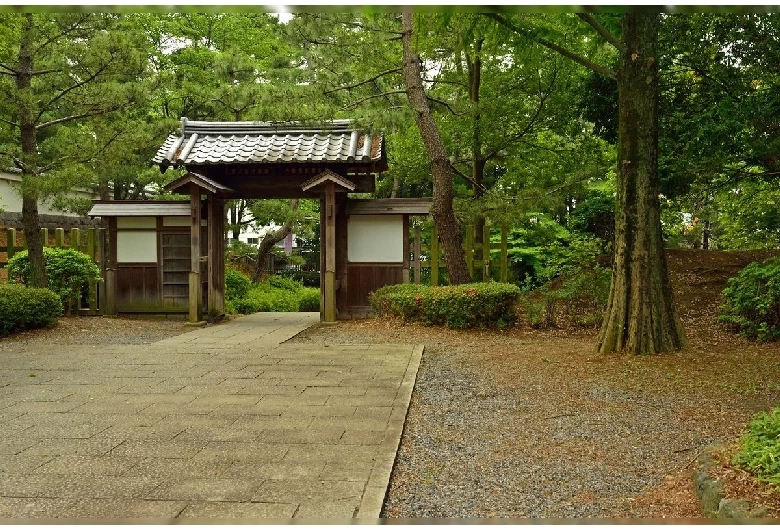 伝・進修館表門