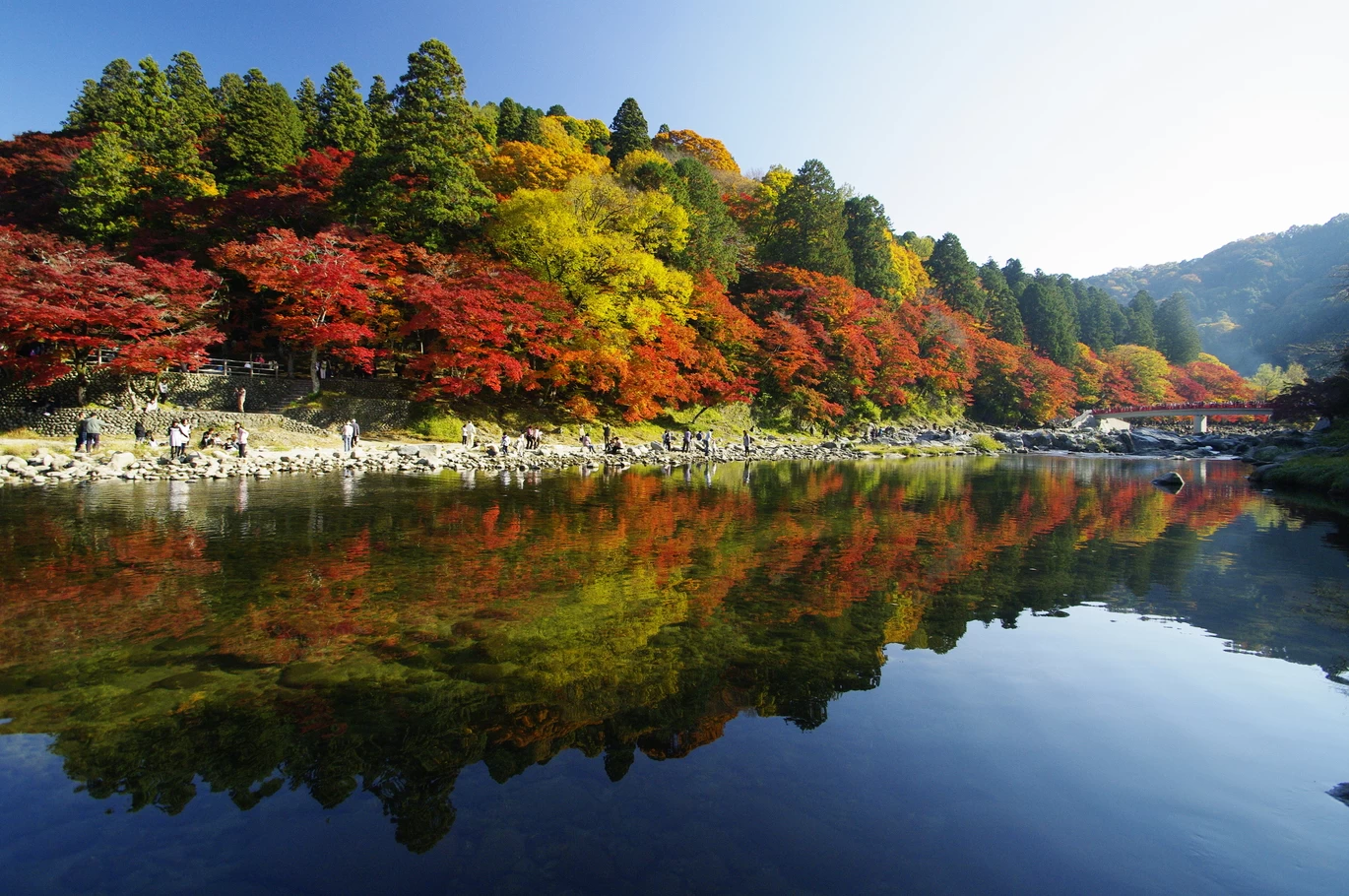 巴川の水鏡