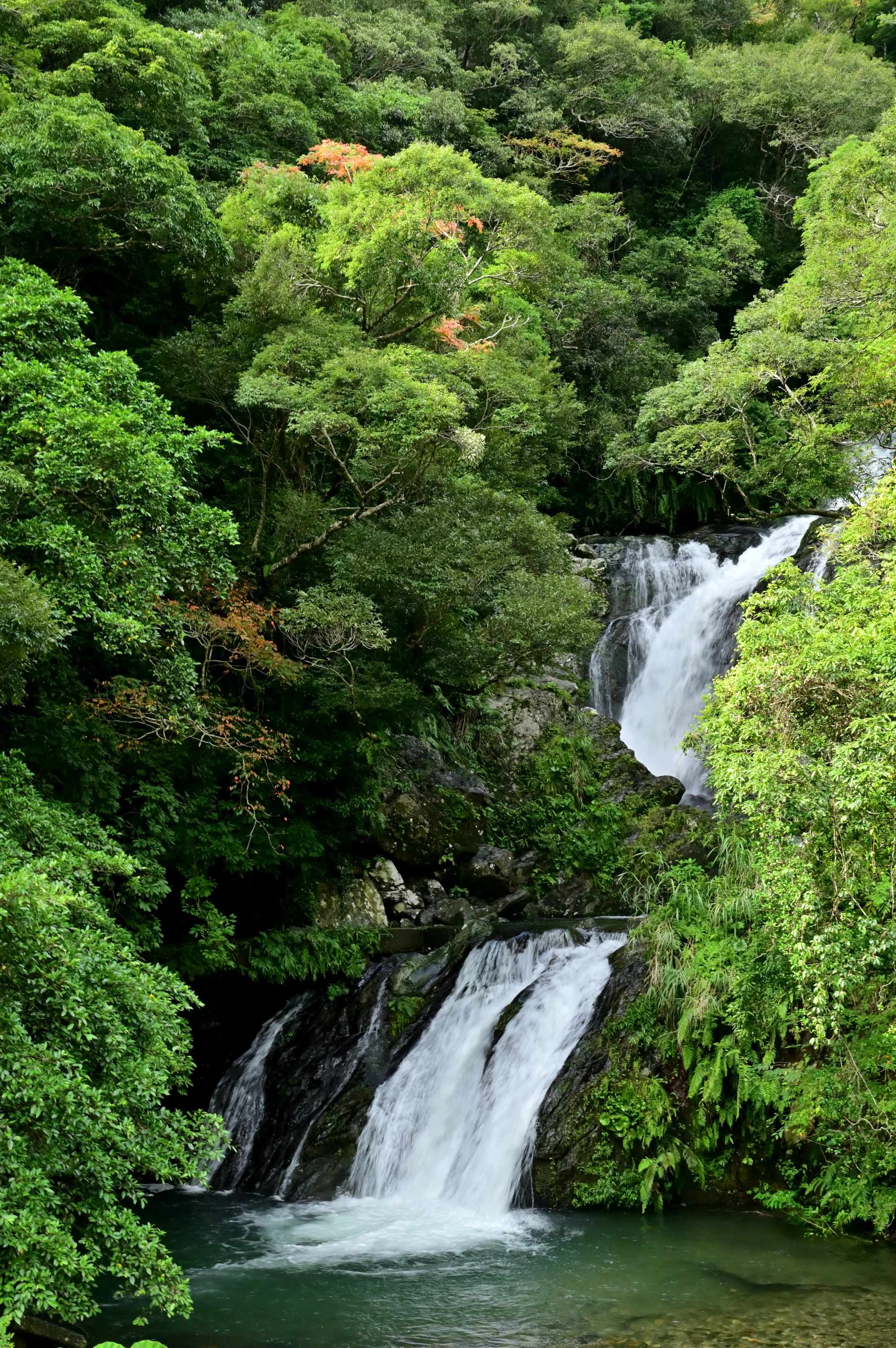 豊かな緑の中を流れる滝