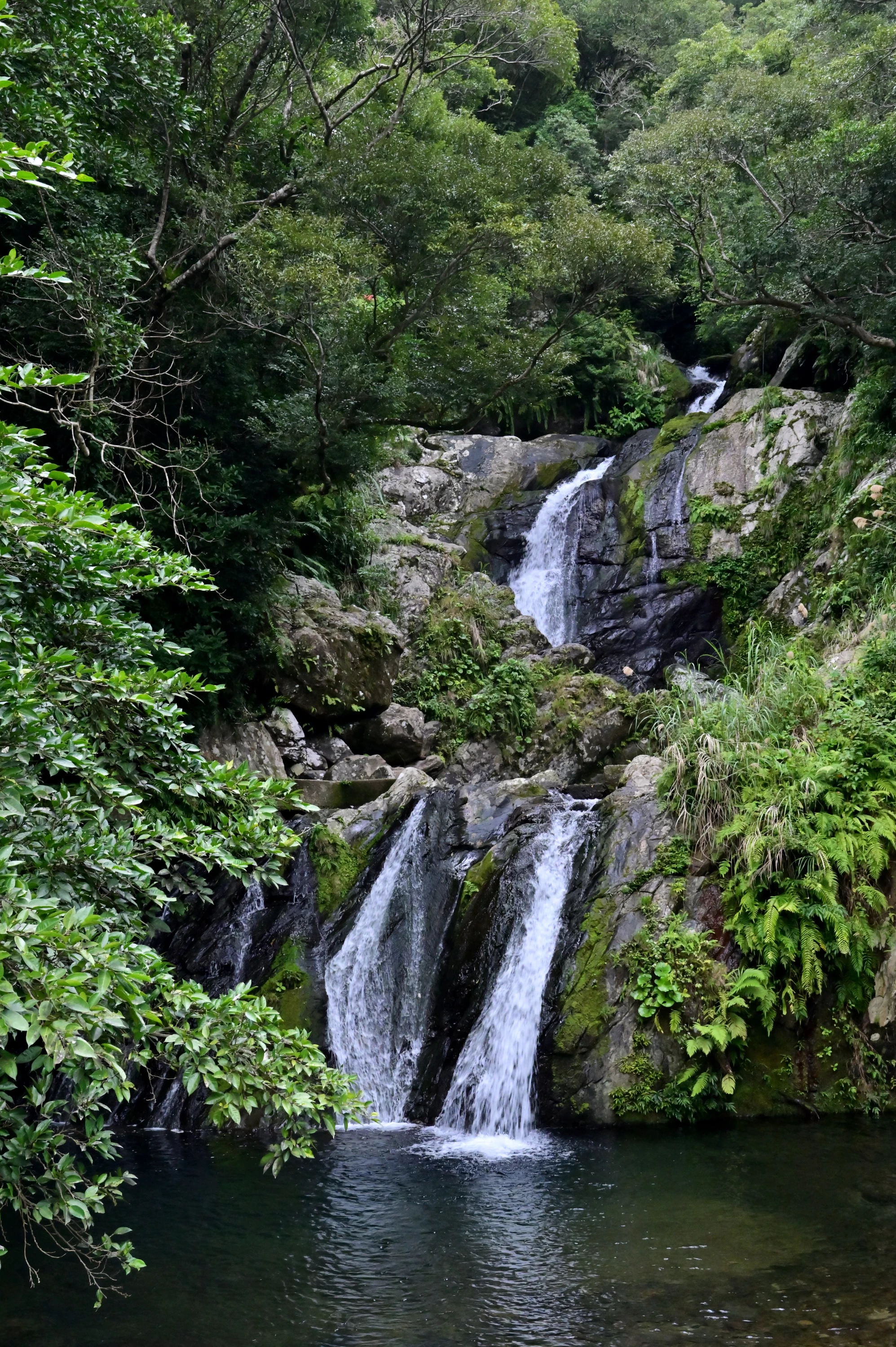 二手に分かれる滝