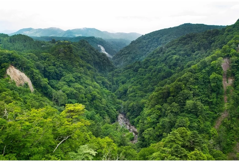 断崖絶壁がそそり立つ渓谷