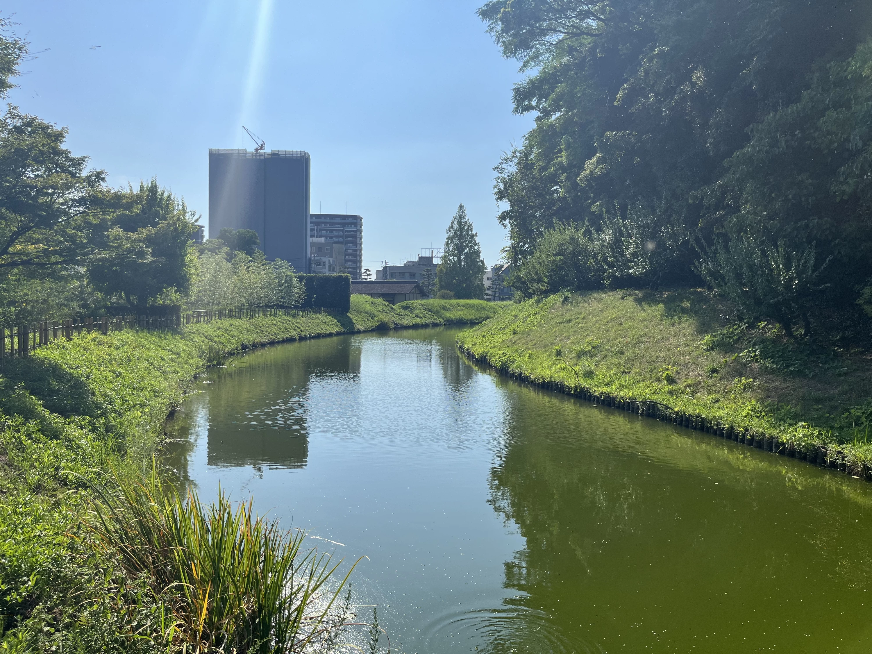 内堀（現地にて撮影）