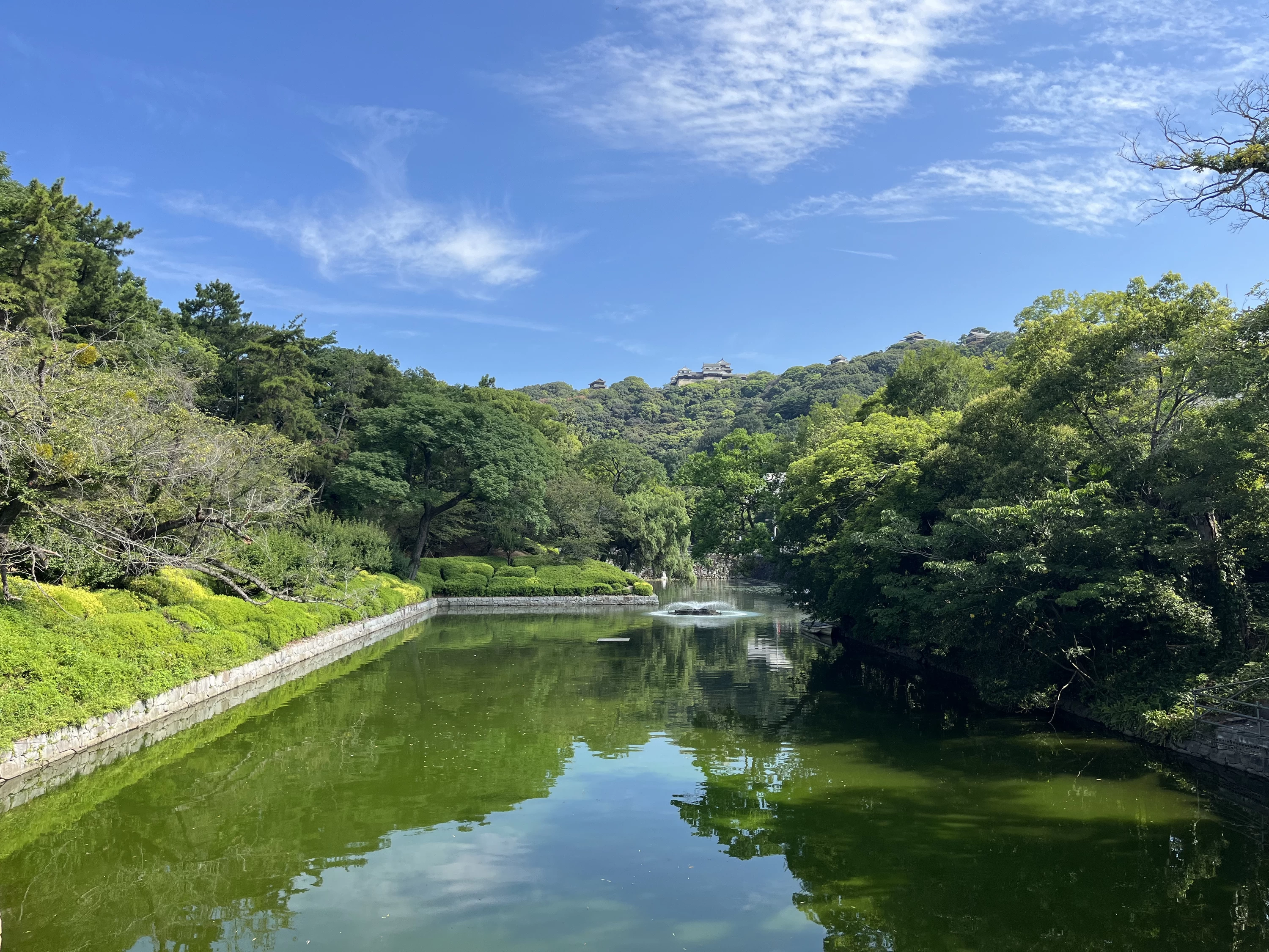 水堀①（現地にて撮影）