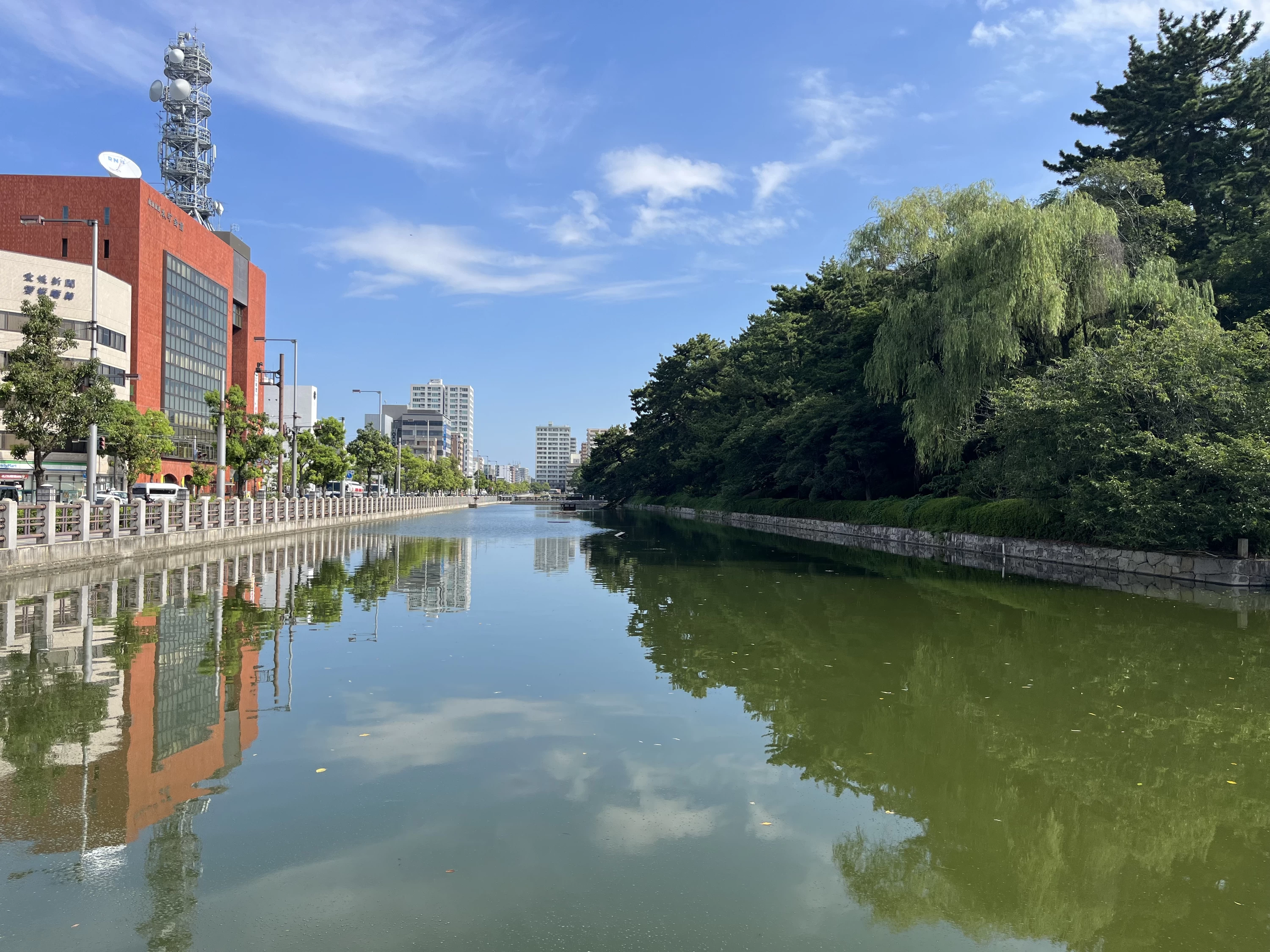 水堀②（現地にて撮影）