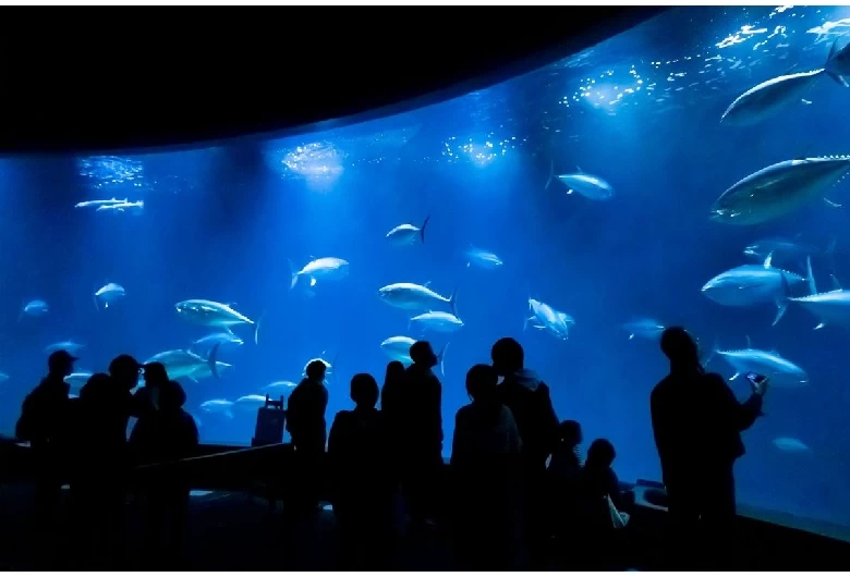 葛西臨海水族園（内観）