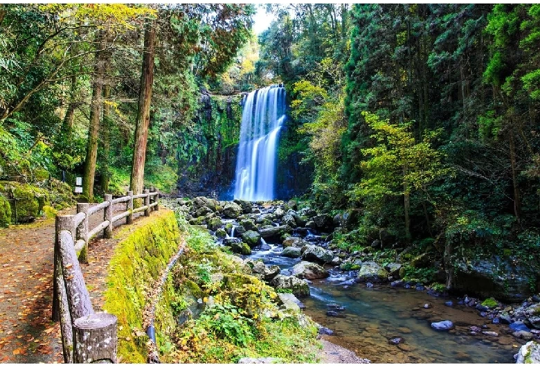 整備された遊歩道