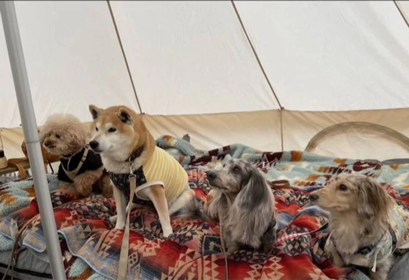 愛犬とのんびり過ごせる充実した施設