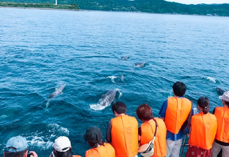 南島原イルカウォッチング①