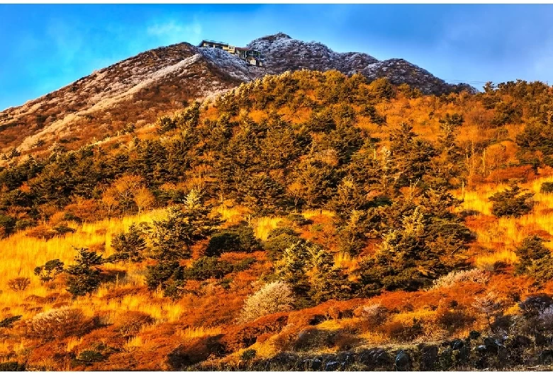 雲仙岳(仁田峠)①