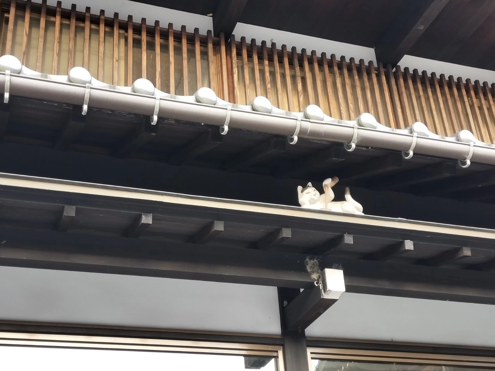 木彫りねこ