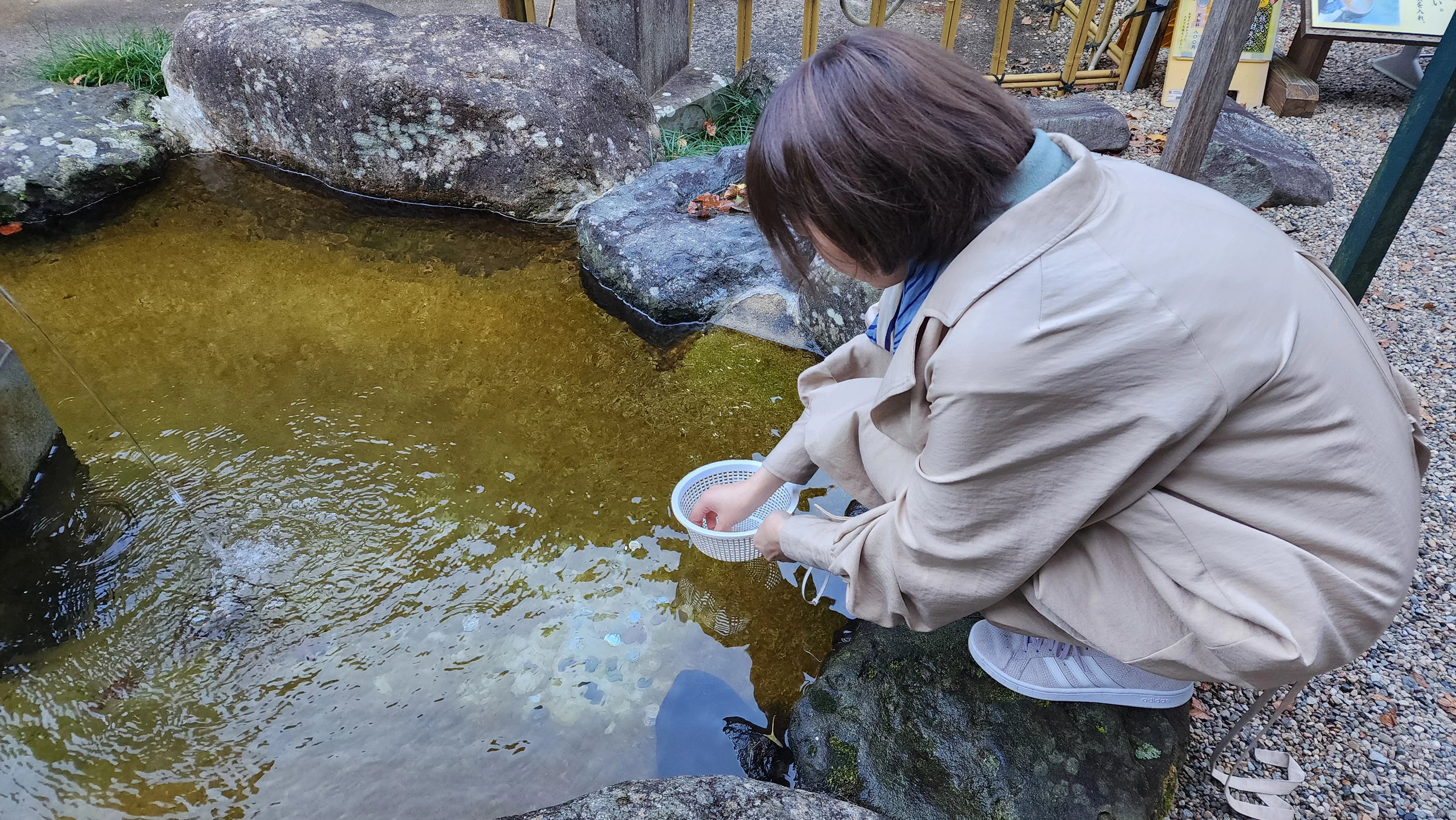 お金を洗うと運気UP（現地にて撮影）