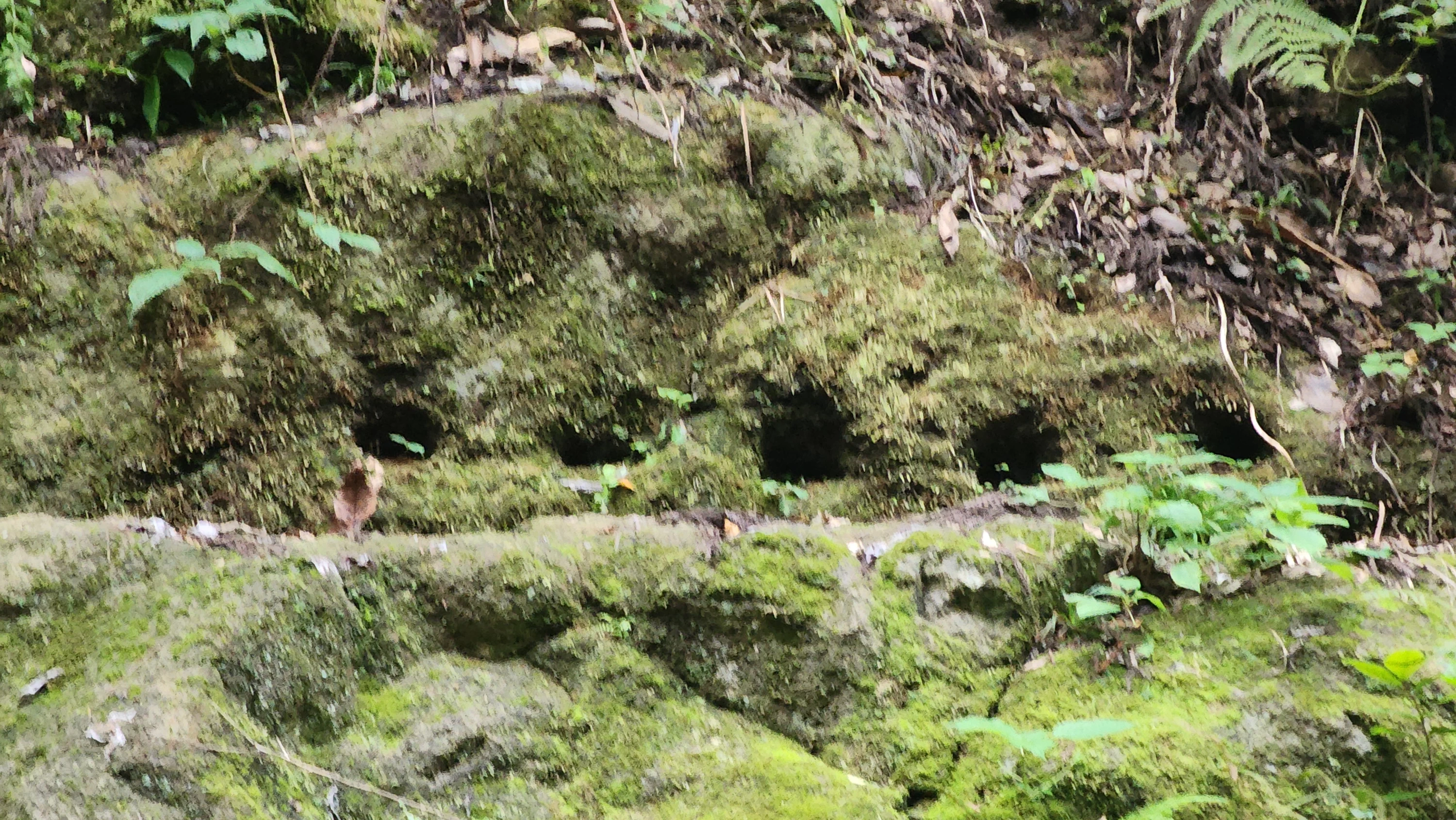 当時は屋根があったため、棒設置の跡が（現地にて撮影）