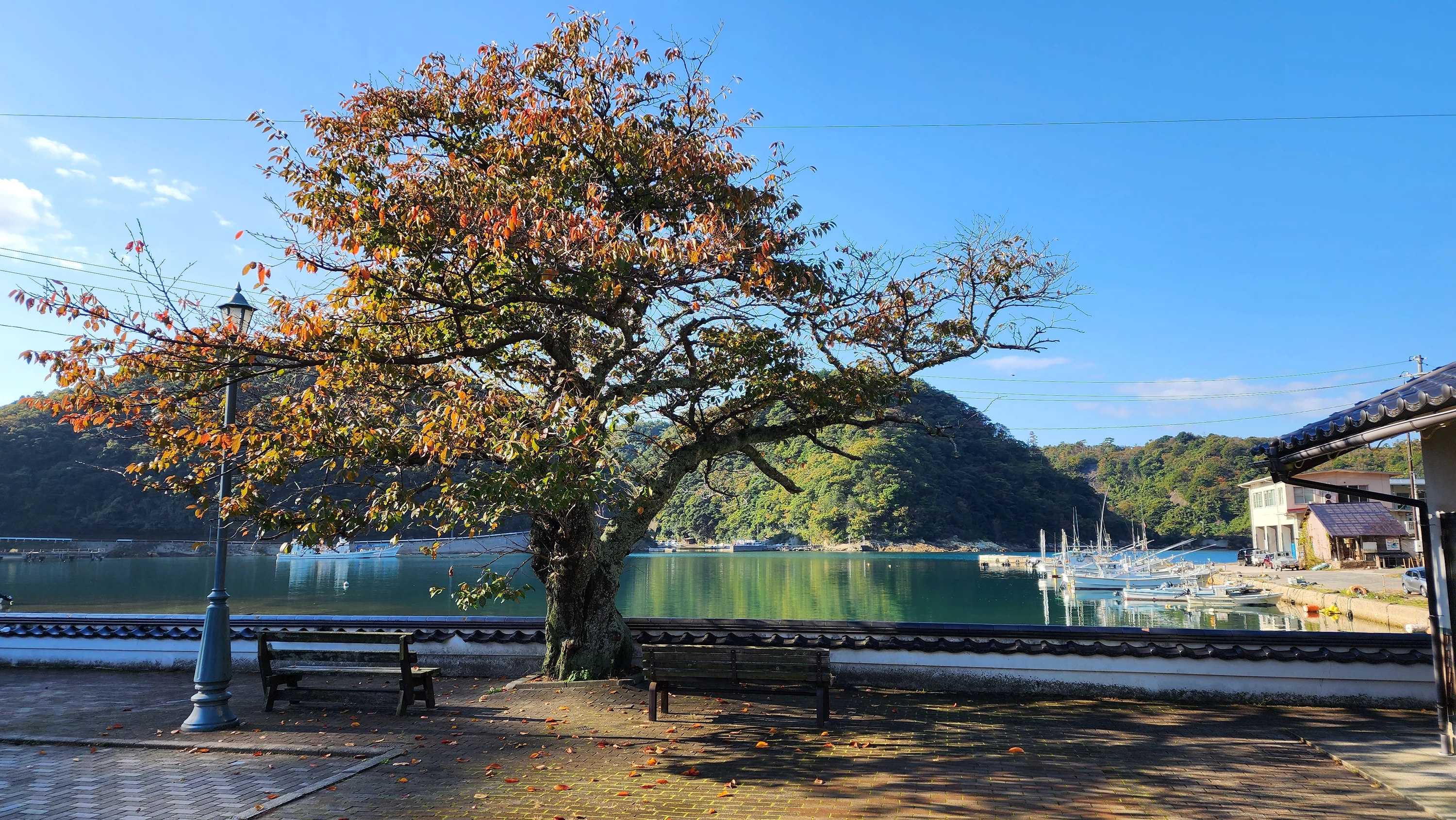 施設の目の前には港が（現地にて撮影）
