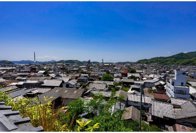 竹原の町並みを一望