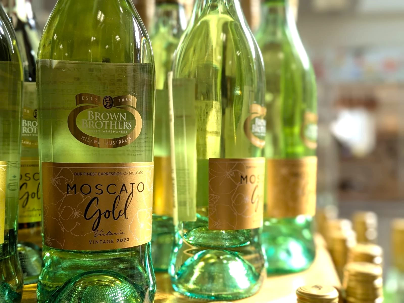 ワインの館（現地にて撮影）