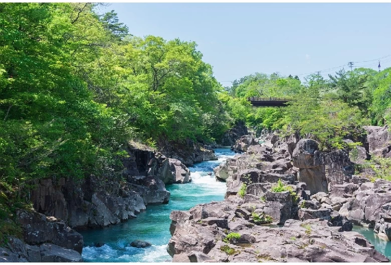 エメラルドグリーンの水流が神秘的