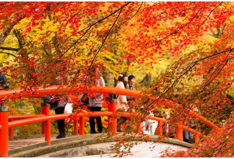 河鹿橋（紅葉）