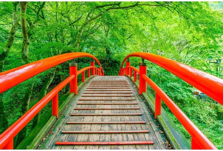 河鹿橋（新緑）