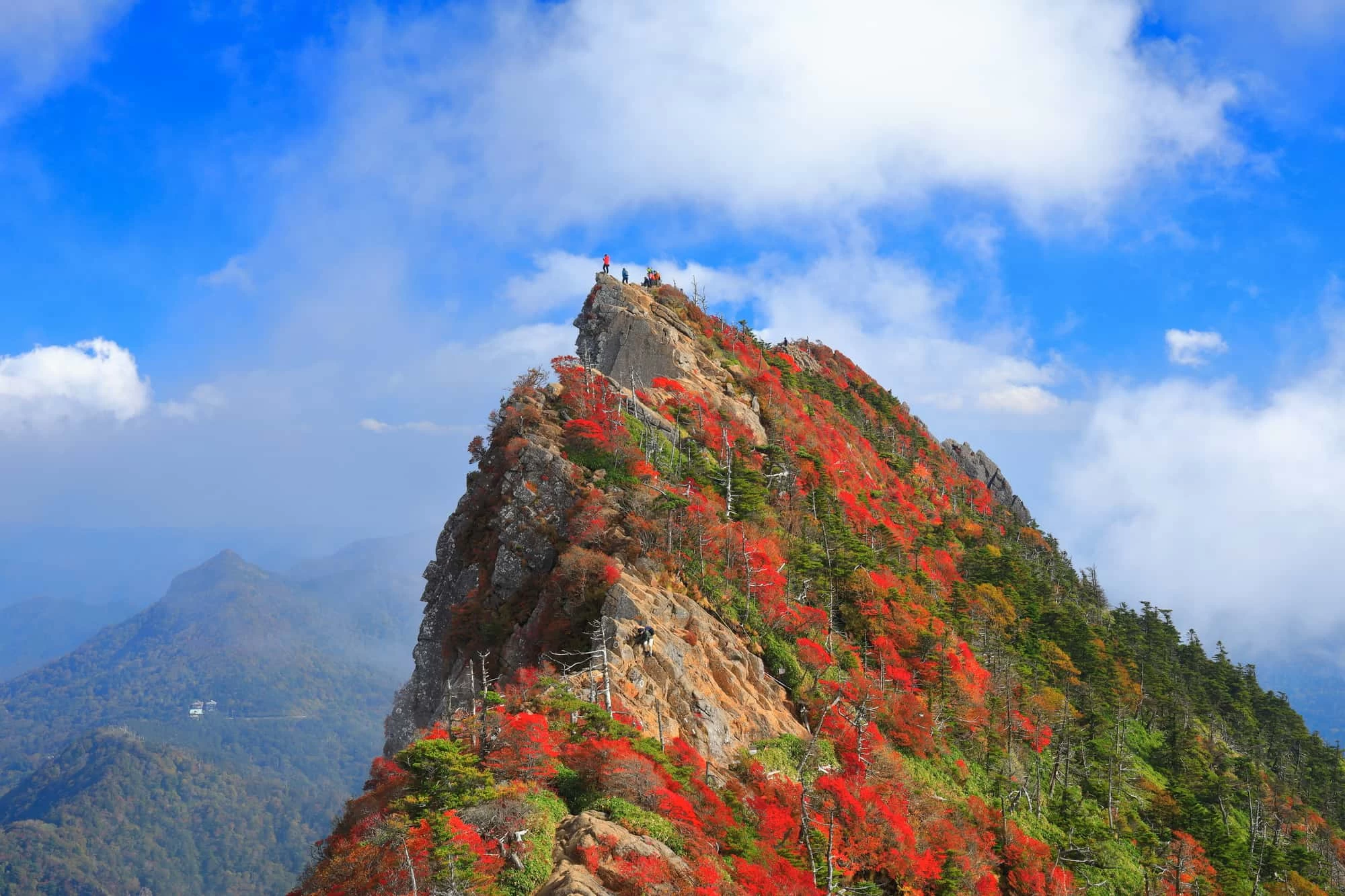 霧に包まれる紅葉の天狗岳