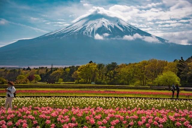 公園から見える富士山