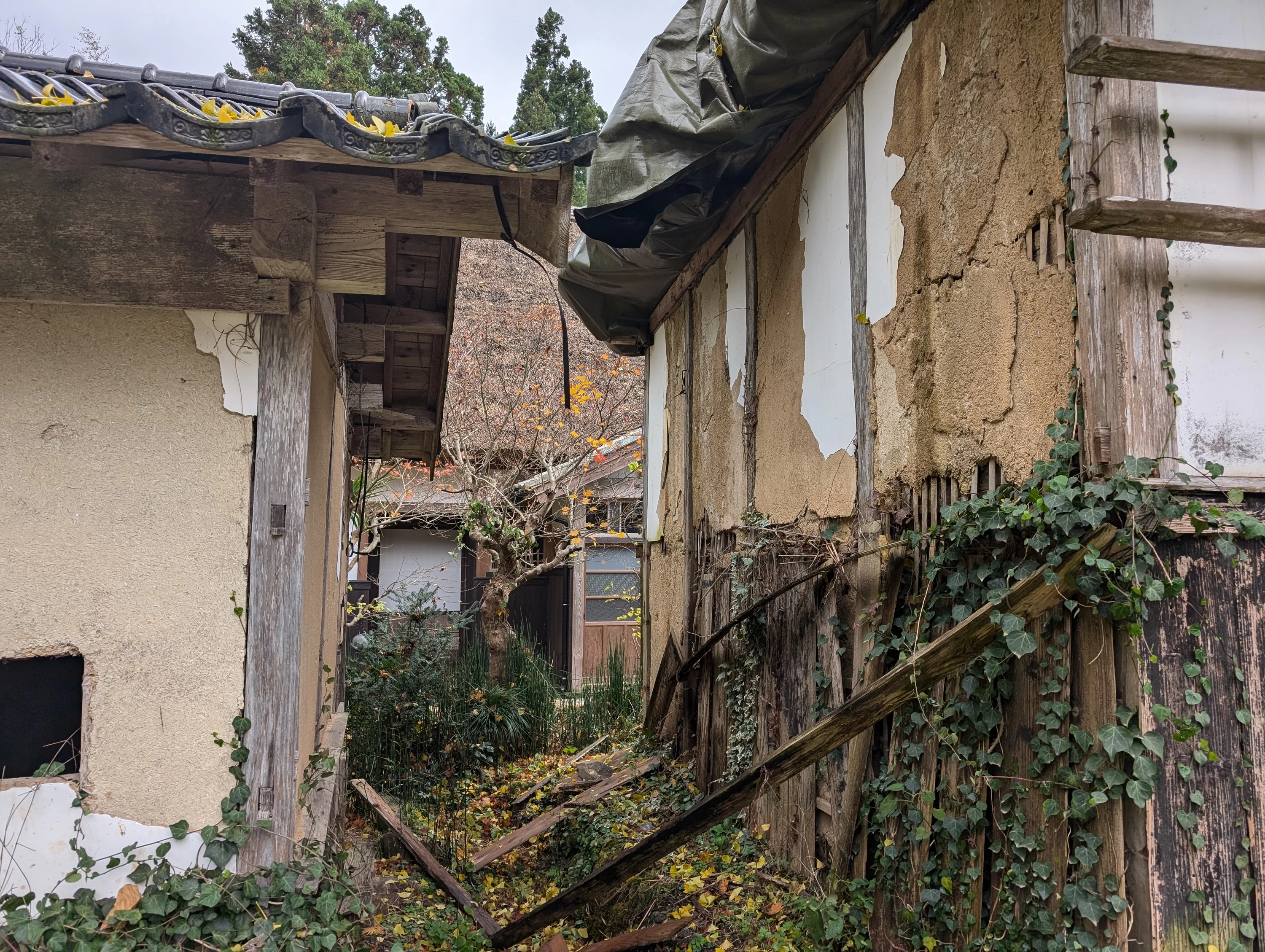 壁の損傷が進んでいる　※現地にて撮影