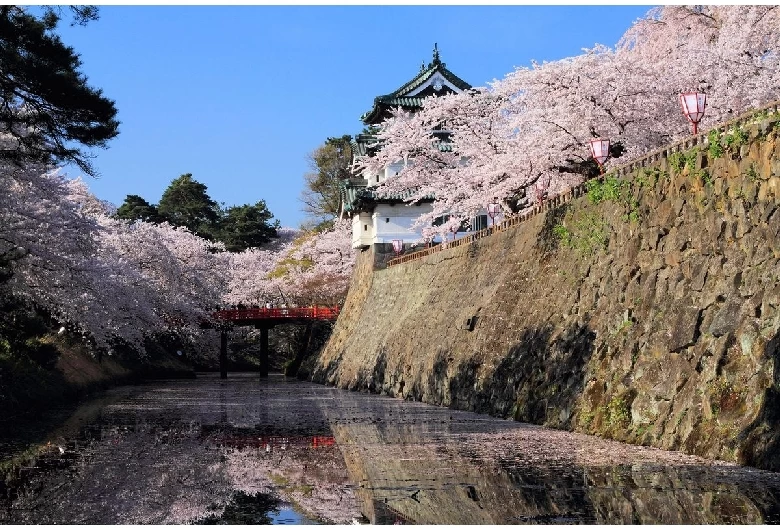 弘前城（桜）①