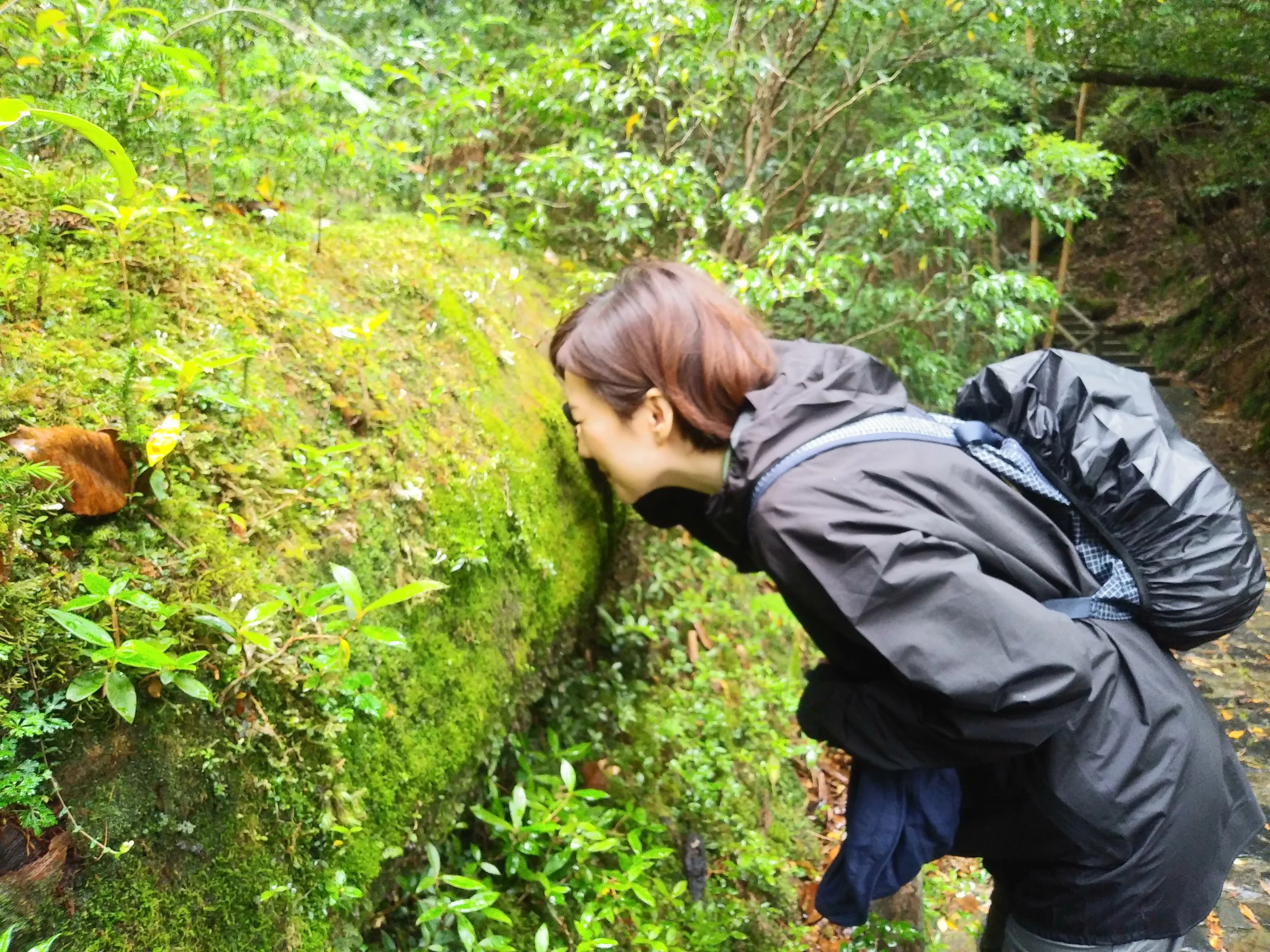 ルーペで倒木のコケを観察中（現地にて撮影）