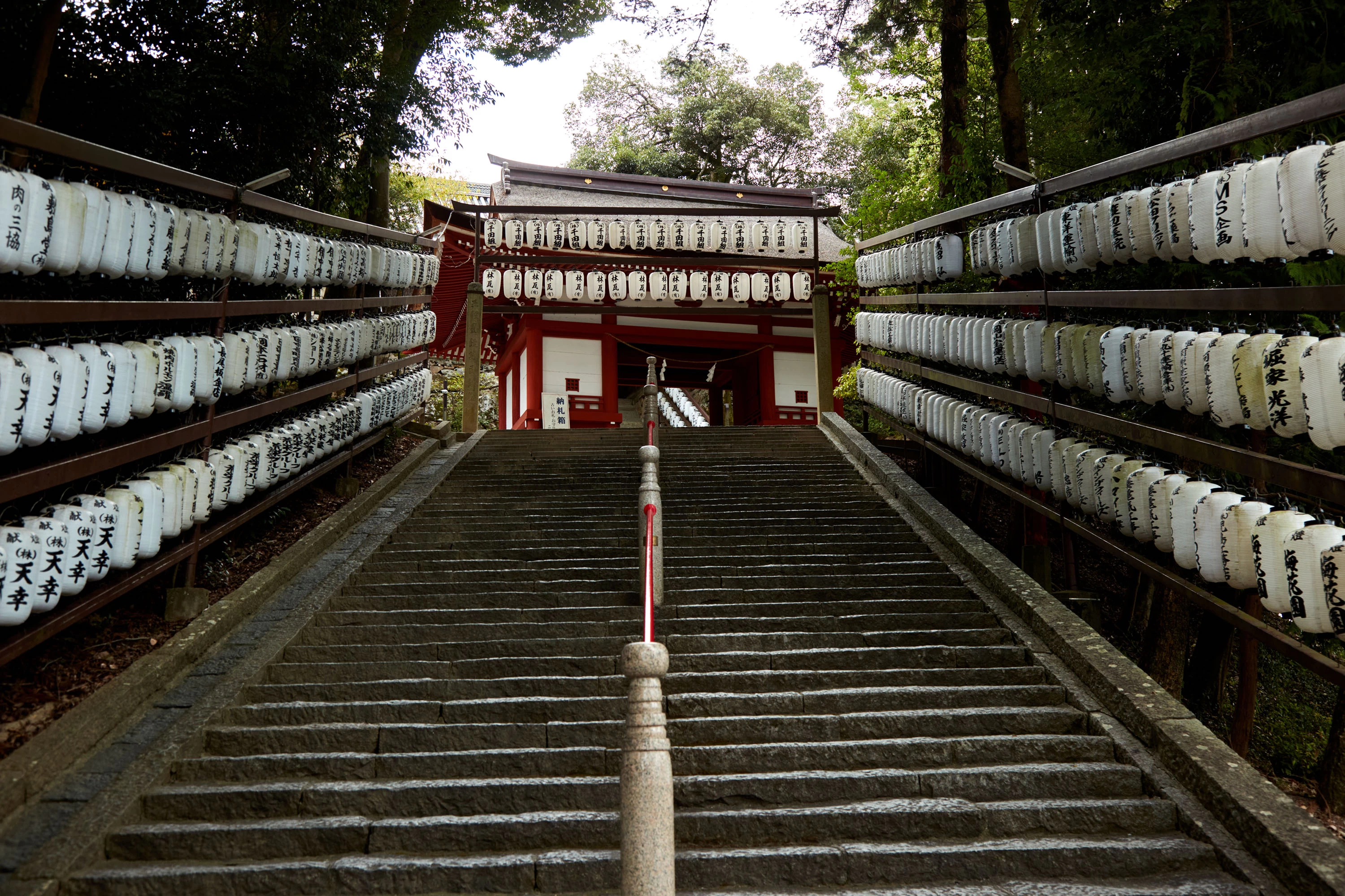 比較的急な階段を上がると、国宝の本殿が見えてくる