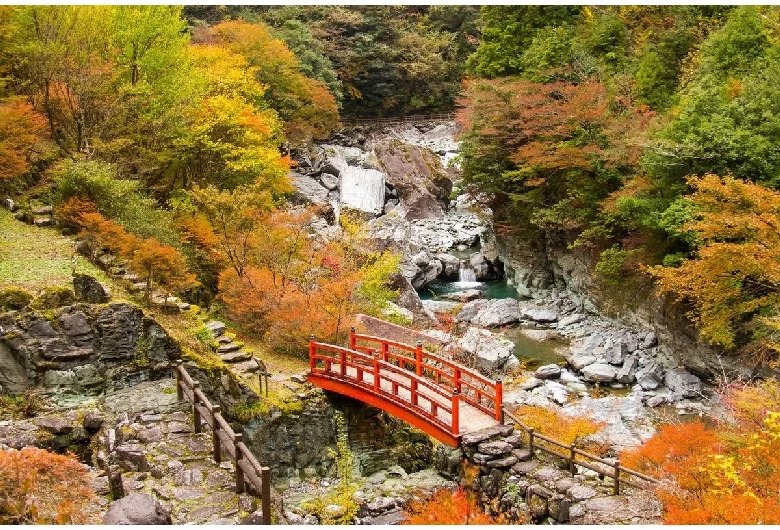 紅葉の時期
