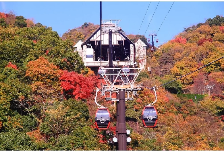 神戸布引ハーブ園②