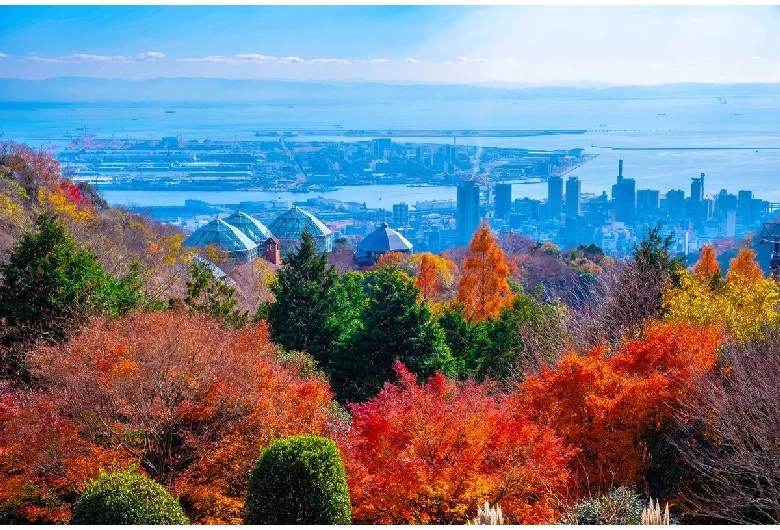 神戸布引ハーブ園③