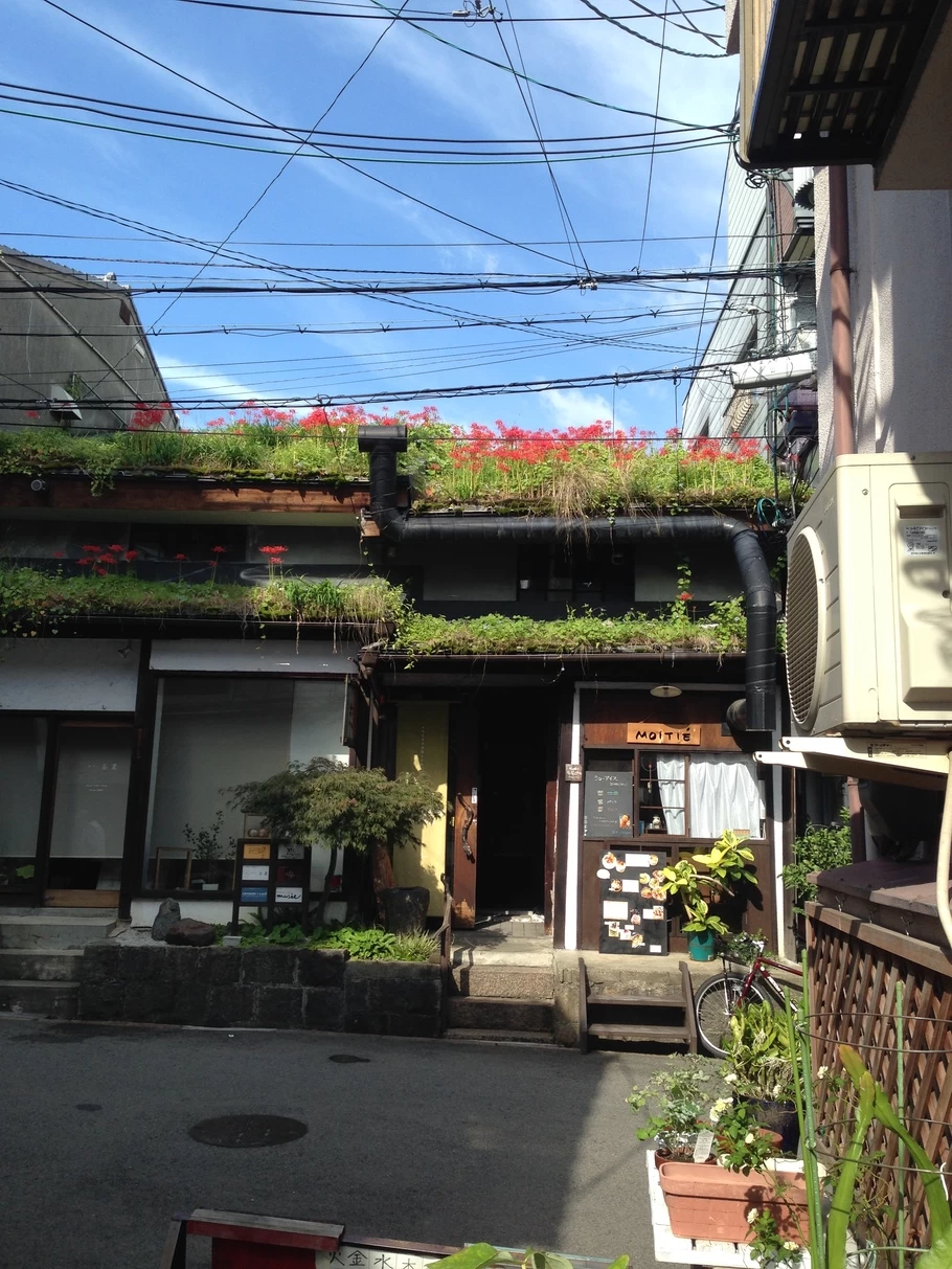 彼岸花が満開の草屋根の様子