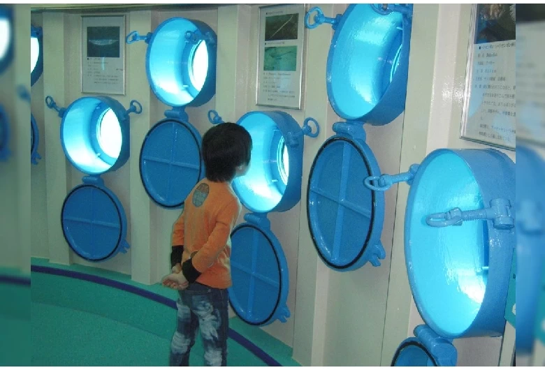 ブセナ海中公園②