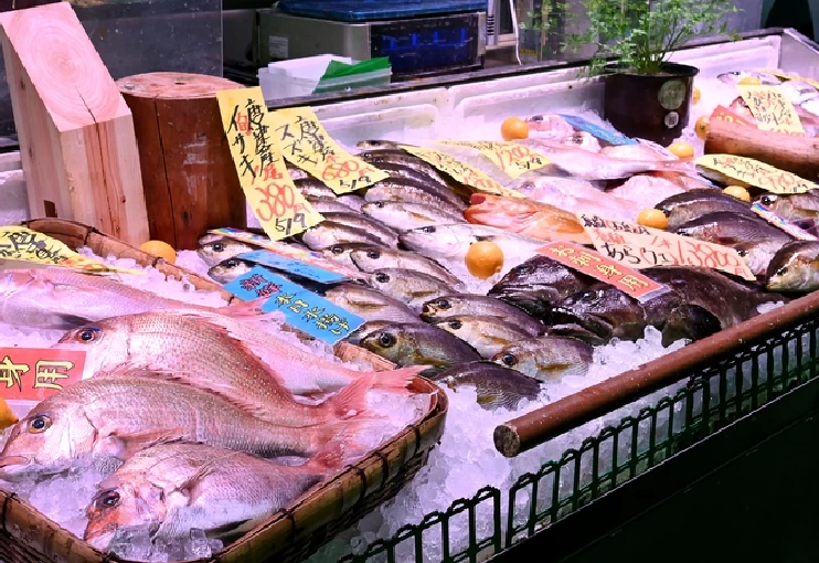 朝どれの新鮮な魚