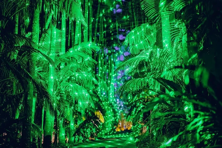 夜の光が生活の一部から愉しみへ ～自然現象の夜景のエリア～