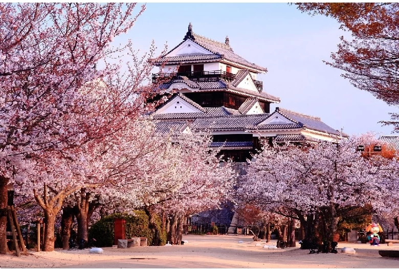 春の松山城
