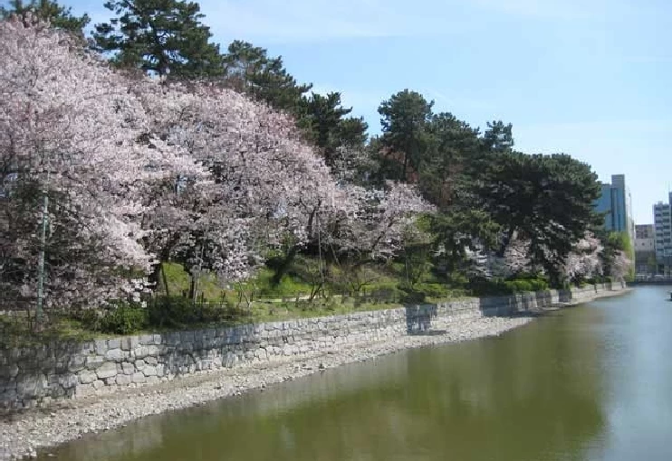 春の城山公園