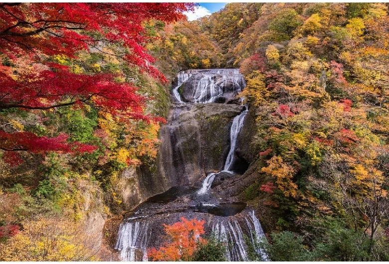 全体が見渡せる第二観瀑台からの眺め