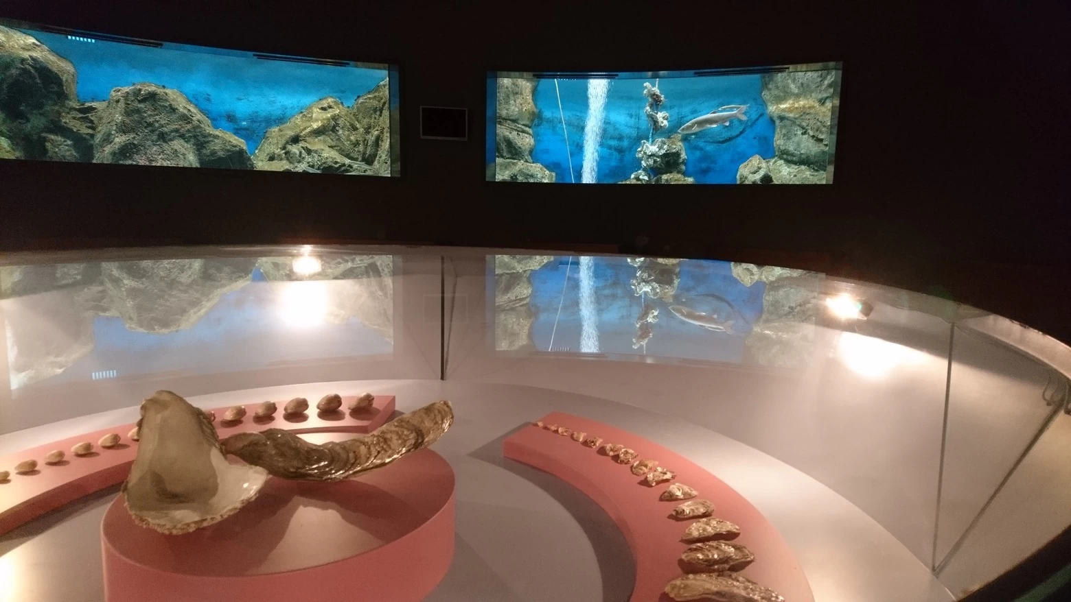 水族館「プティ」