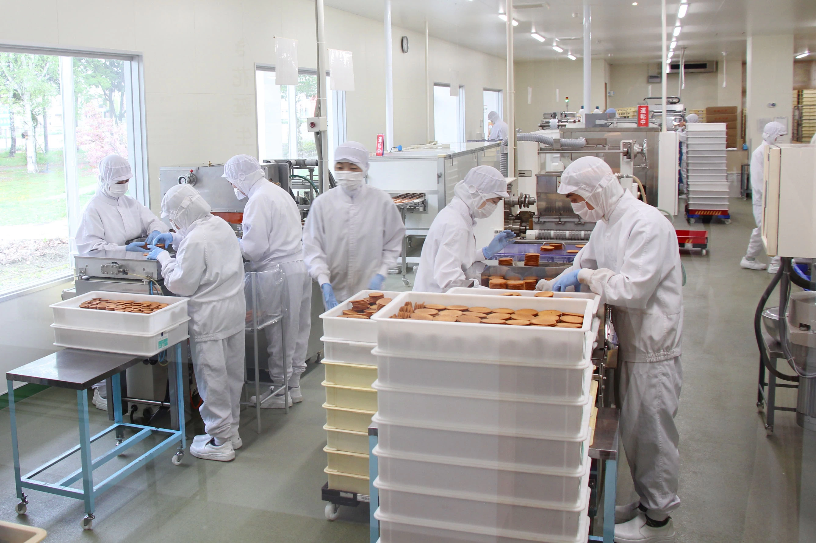 き花工場の様子