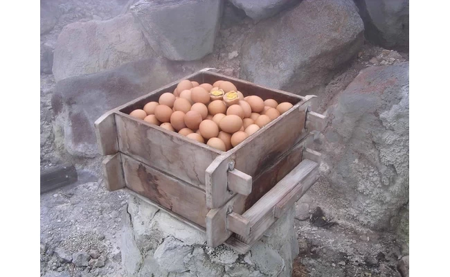 蒸し卵