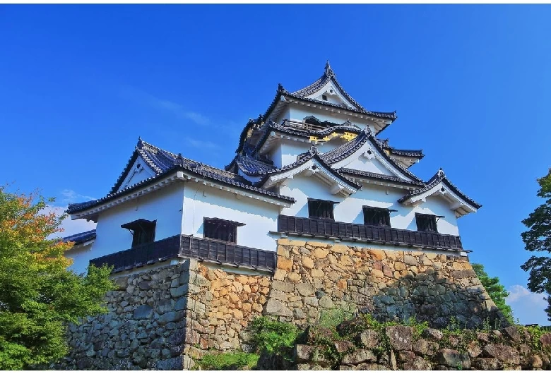 山の地形を利用して築かれた山城