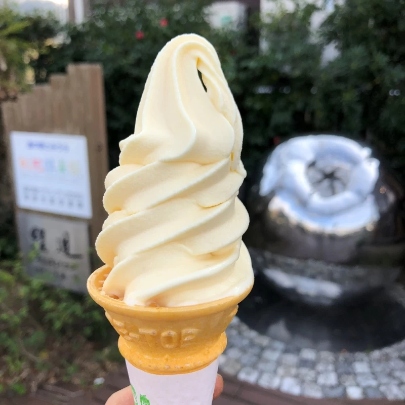 びわソフトクリーム（現地撮影）